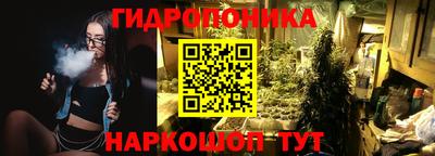 мяу мяу мука Кандалакша